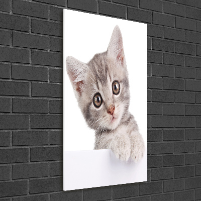 Tableau imprimé sur verre Chat gris