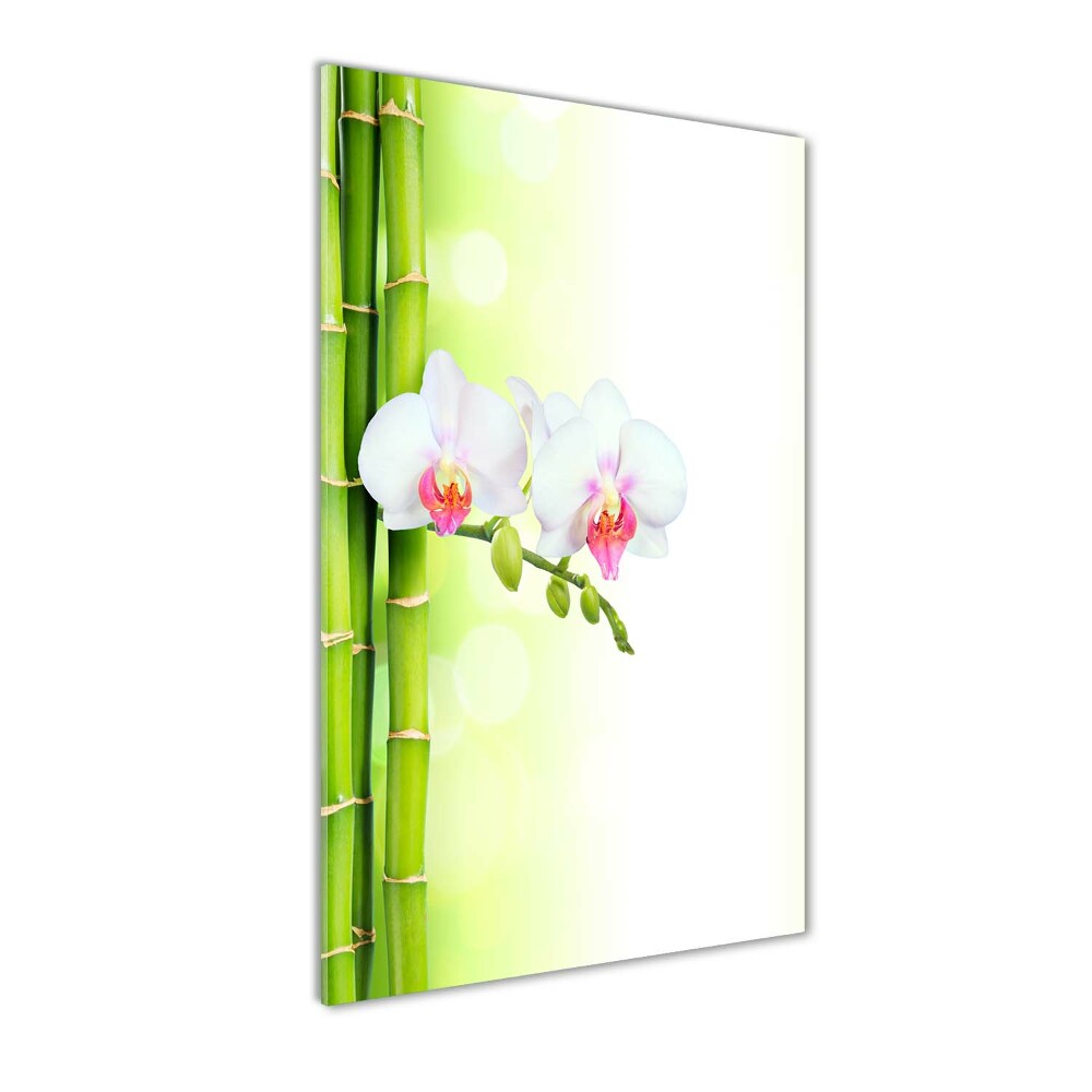 Tableau imprimé sur verre Orchidée et bambou