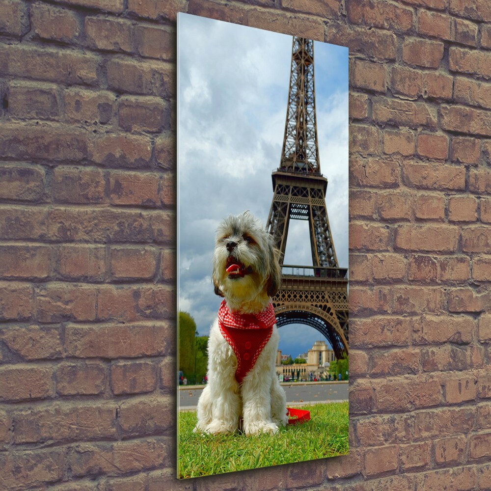 Tableau sur verre Chien à Paris