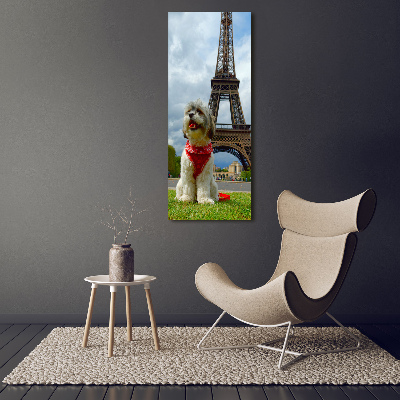 Tableau sur verre Chien à Paris