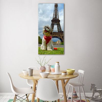 Tableau sur verre Chien à Paris