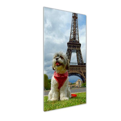 Tableau sur verre Chien à Paris