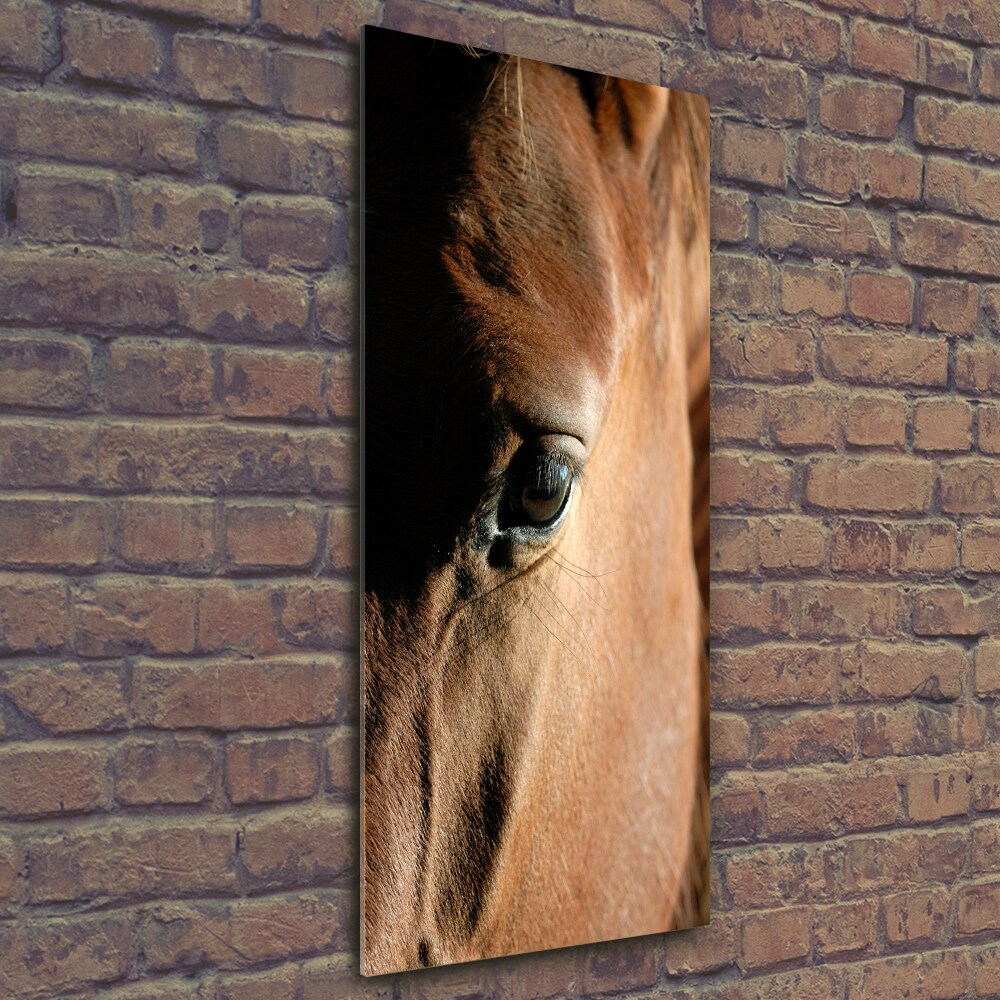 Tableau photo sur verre Cheval