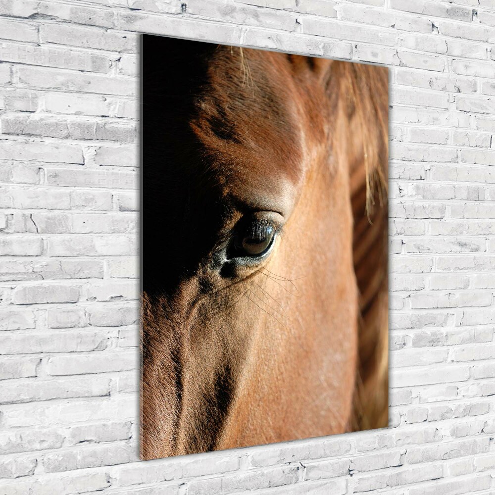 Tableau photo sur verre Cheval