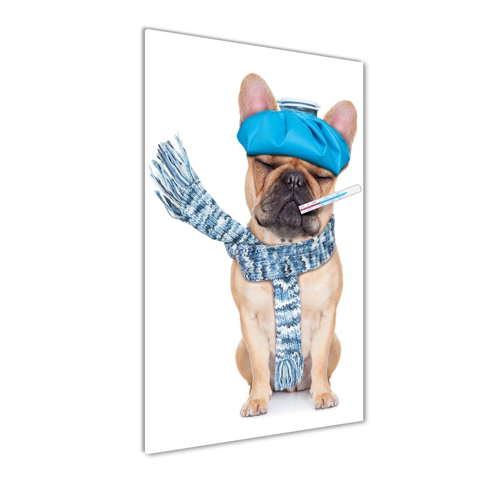 Tableau photo sur verre Chien malade