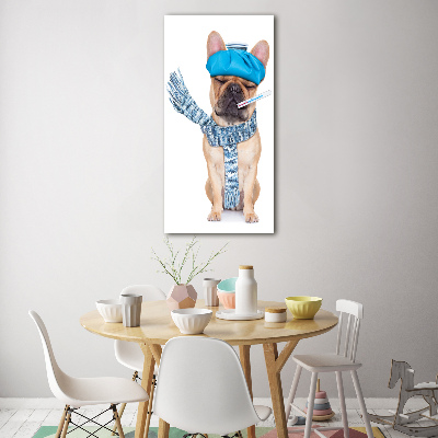 Tableau photo sur verre Chien malade