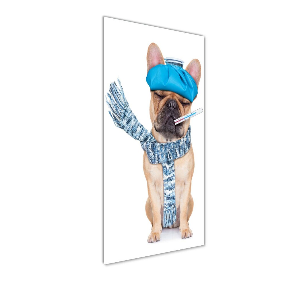 Tableau photo sur verre Chien malade