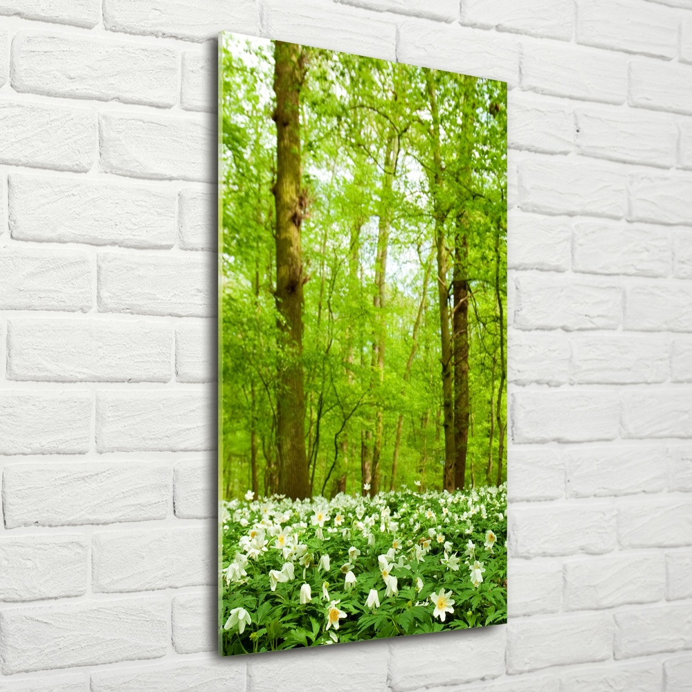 Tableau sur verre Fleurs dans la forêt