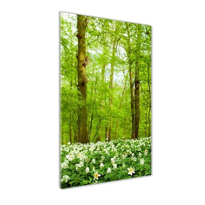 Tableau sur verre Fleurs dans la forêt