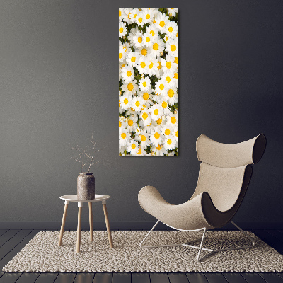 Tableau imprimé sur verre Fleurs de marguerite