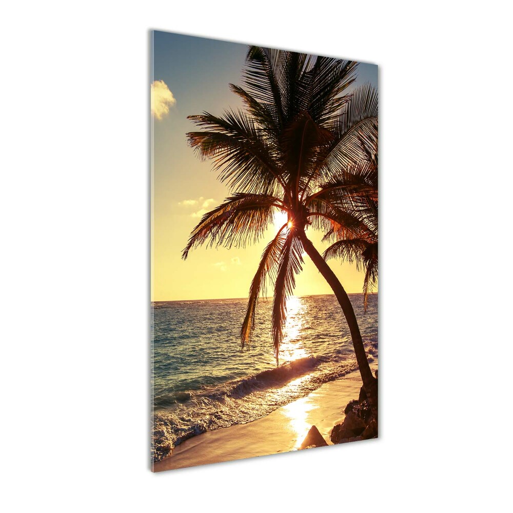 Tableau en verre Plage tropicale palmiers