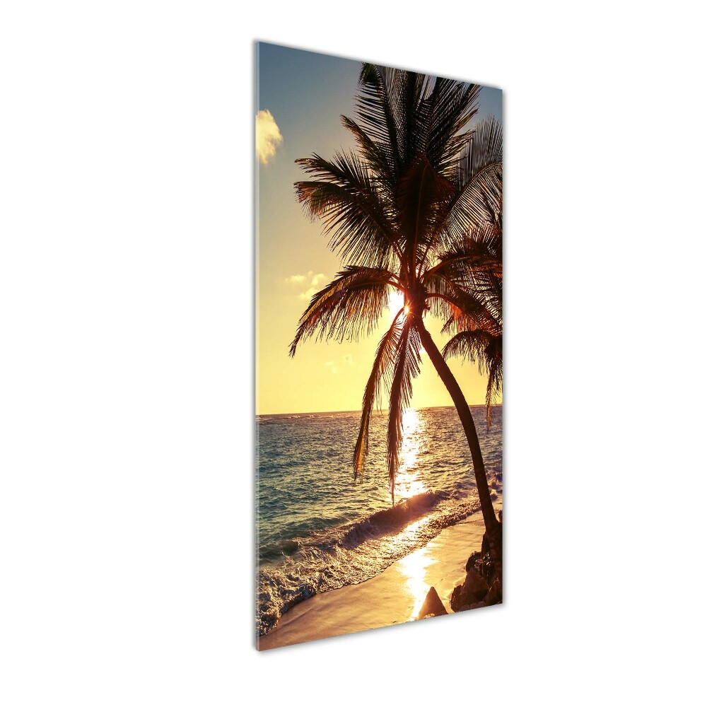 Tableau en verre Plage tropicale palmiers