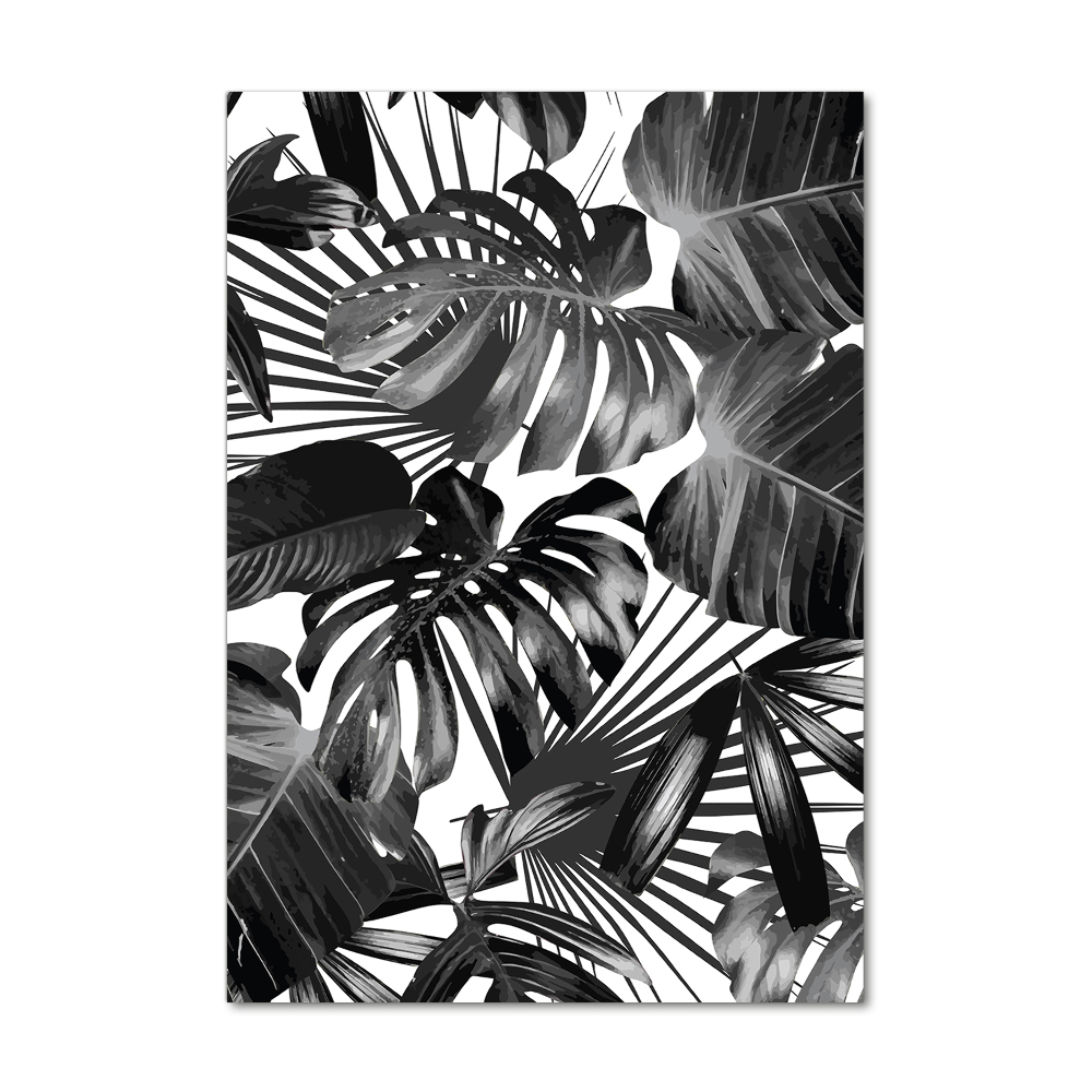 Tableau photo sur verre Feuilles exotiques