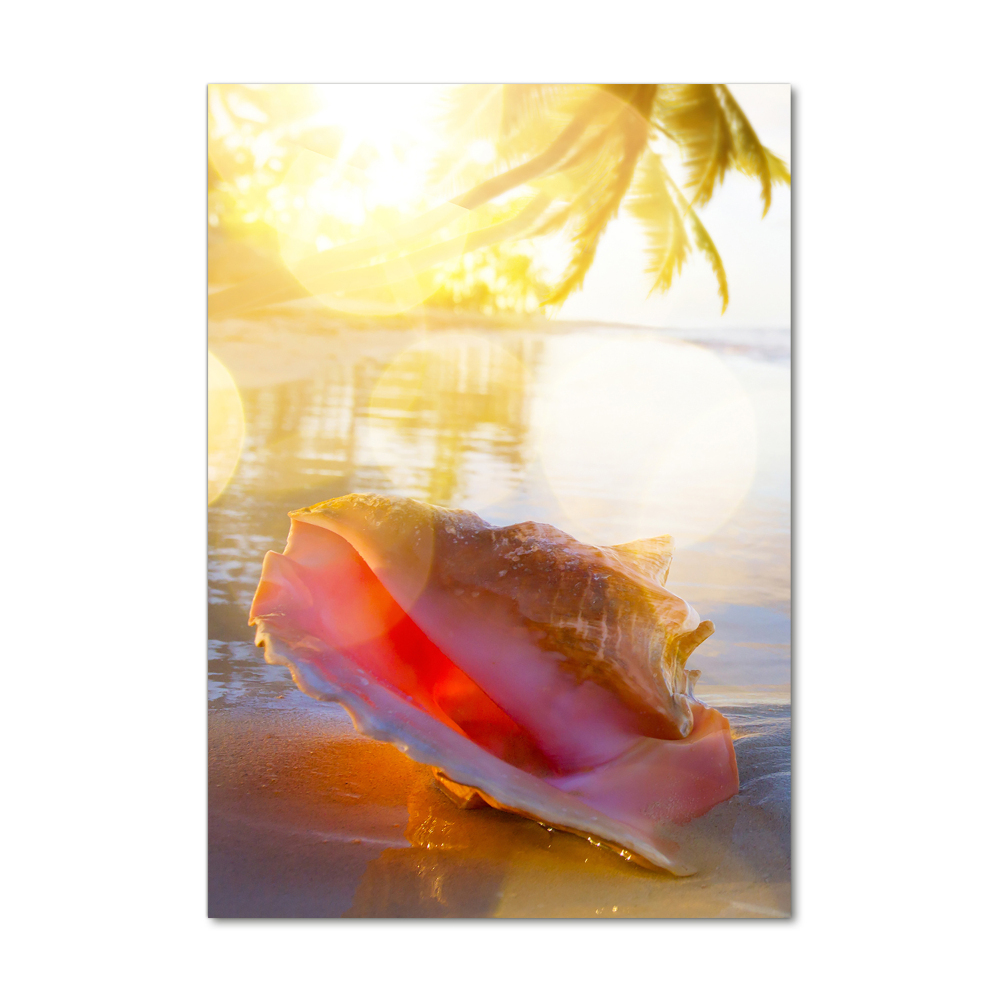 Tableau imprimé sur verre Coquillage sur la plage