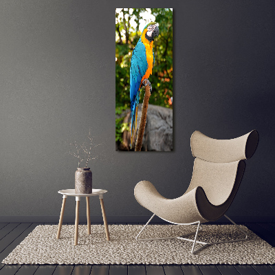 Tableau photo sur verre Perroquet Ara