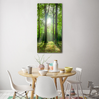 Tableau verre imprimé Coucher de soleil dans la forêt