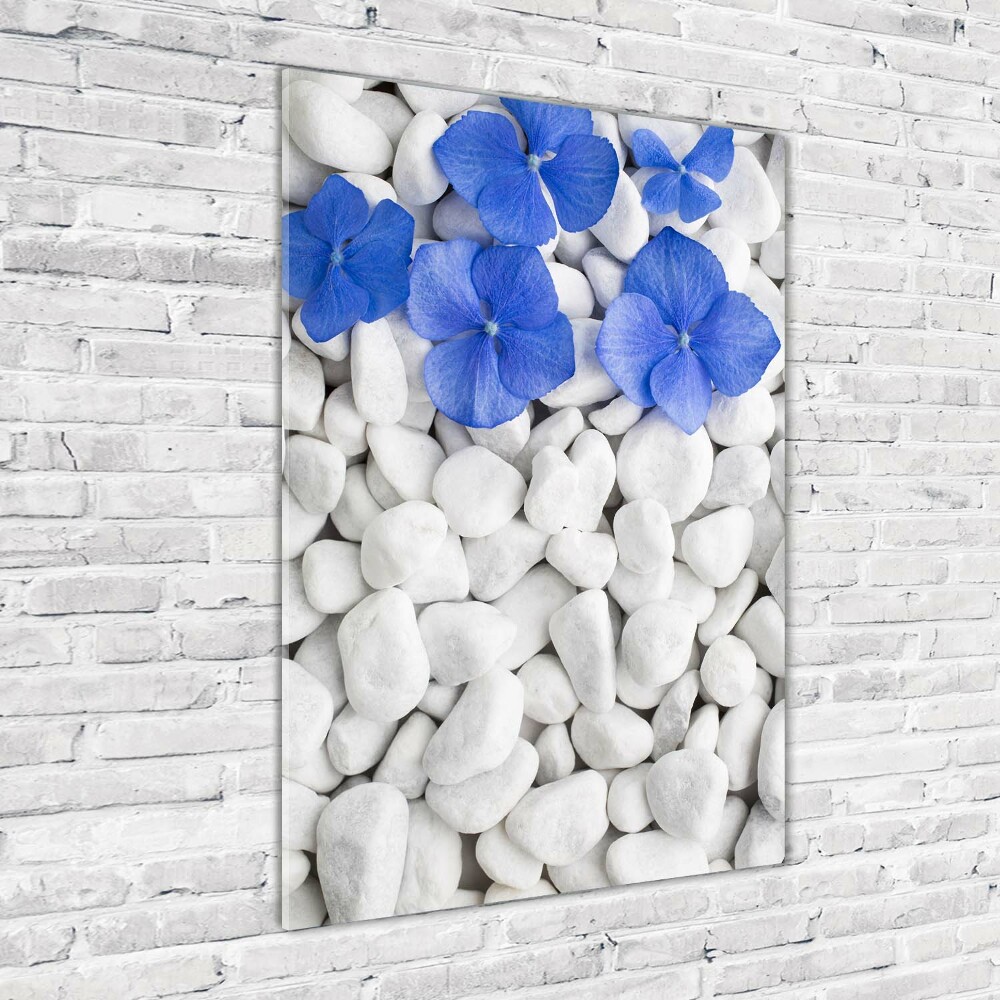 Tableau imprimé sur verre Pierres d'hortensia