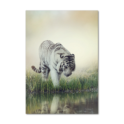 Tableau imprimé sur verre Tigre blanc