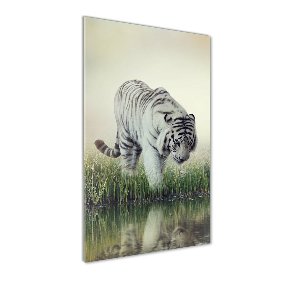 Tableau imprimé sur verre Tigre blanc