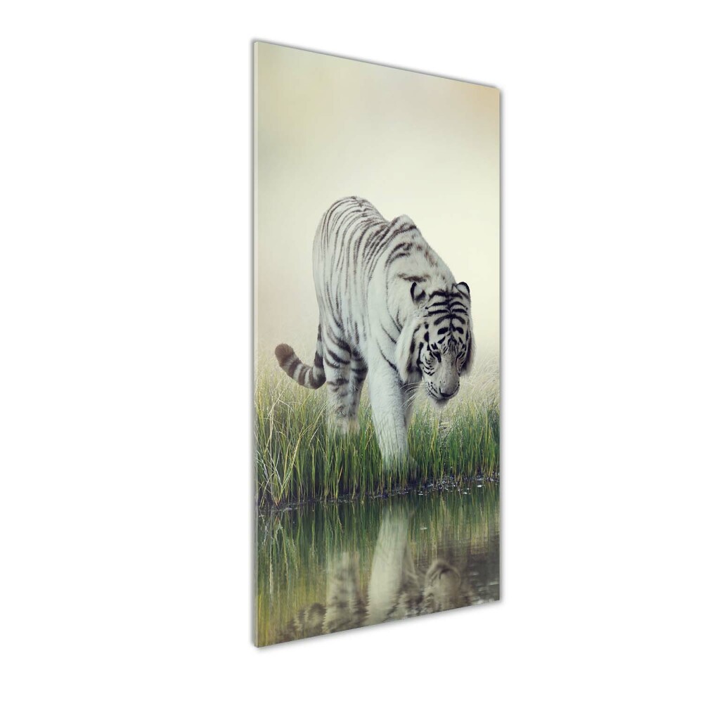 Tableau imprimé sur verre Tigre blanc