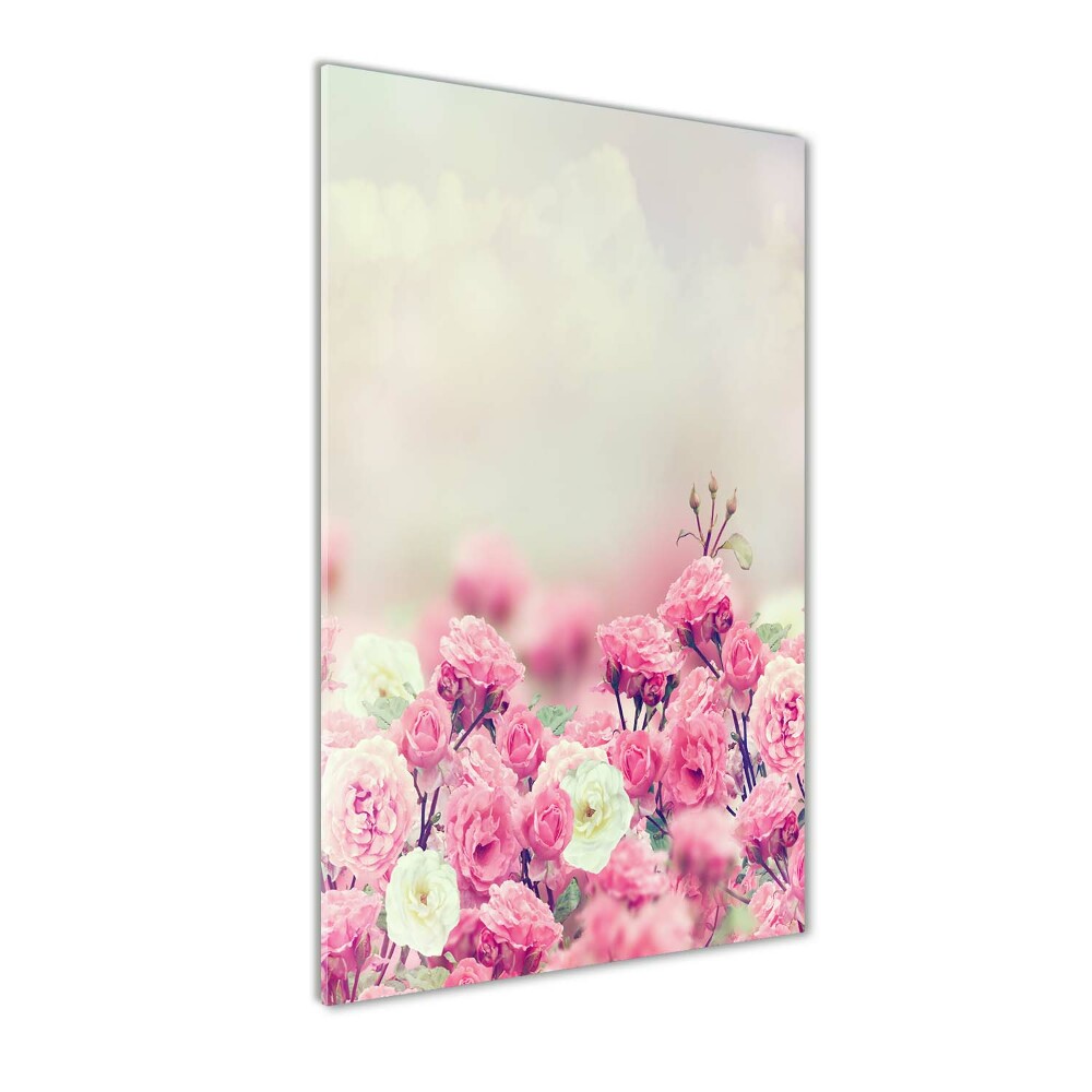 Tableau sur verre Rose sauvage