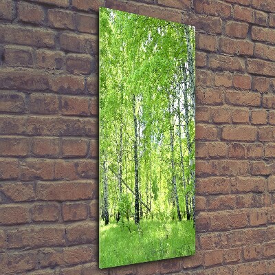 Tableau en verre Forêt de bouleaux