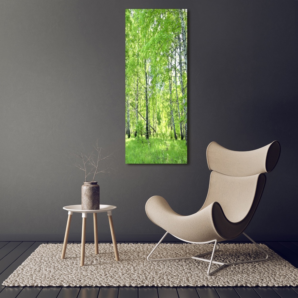 Tableau en verre Forêt de bouleaux