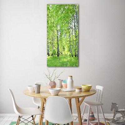 Tableau en verre Forêt de bouleaux