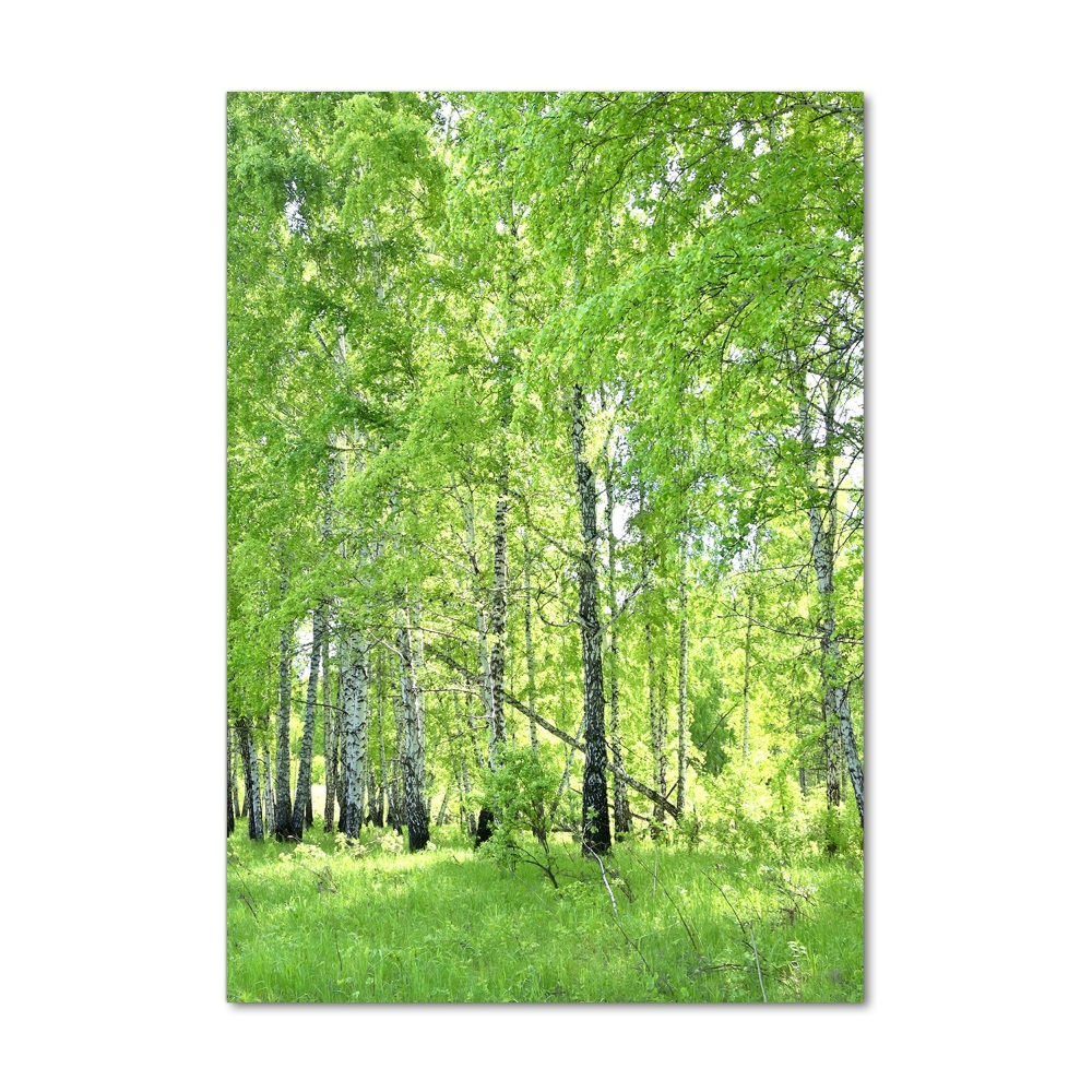 Tableau en verre Forêt de bouleaux