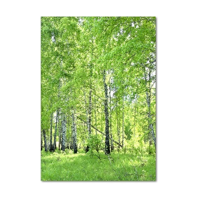 Tableau en verre Forêt de bouleaux