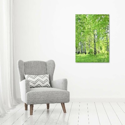 Tableau en verre Forêt de bouleaux