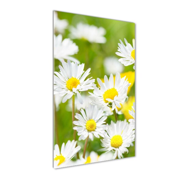 Marguerites