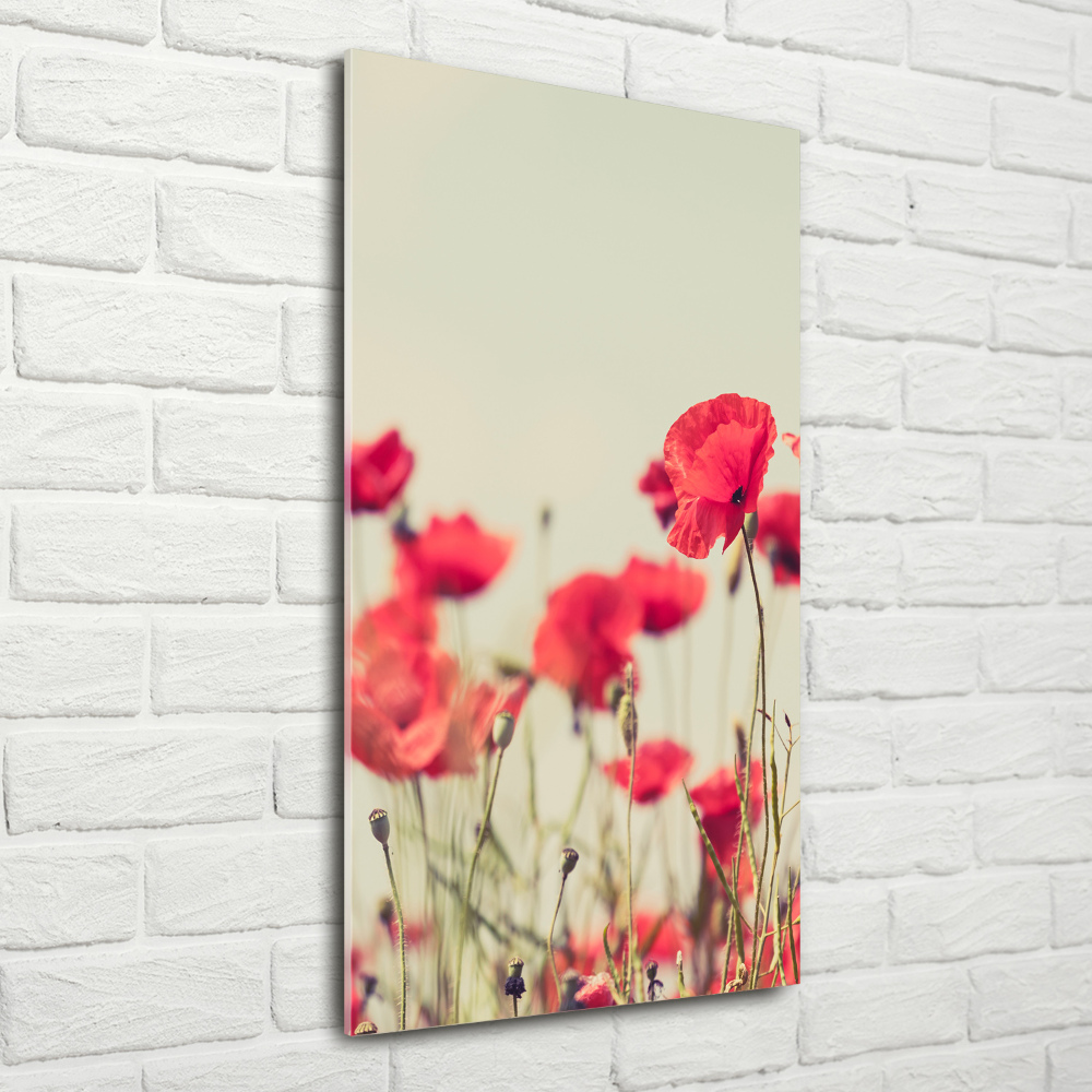 Tableau sur verre Coquelicots rouges