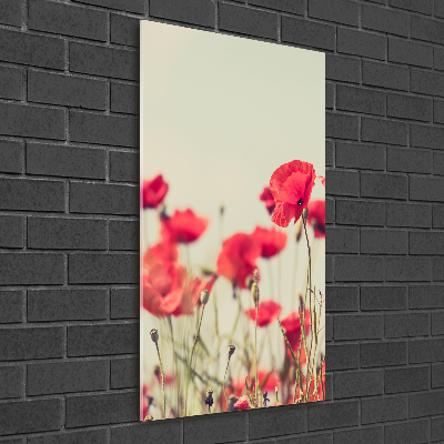 Tableau sur verre Coquelicots rouges