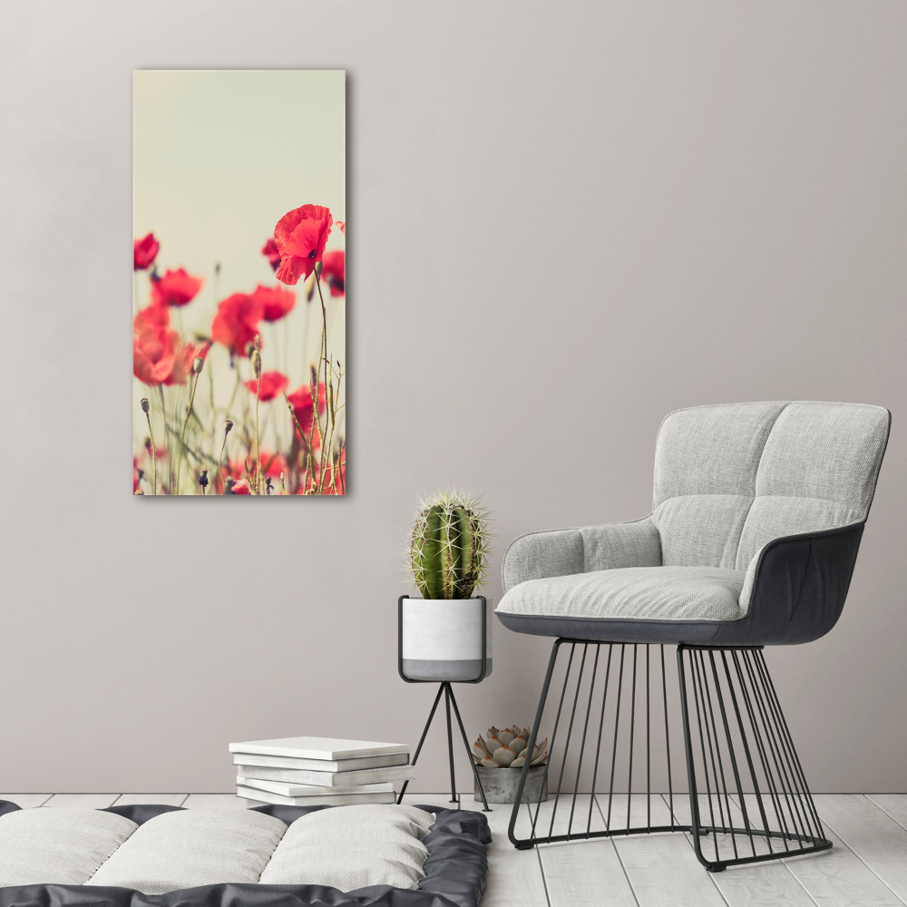 Tableau sur verre Coquelicots rouges