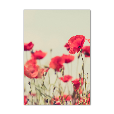 Tableau sur verre Coquelicots rouges