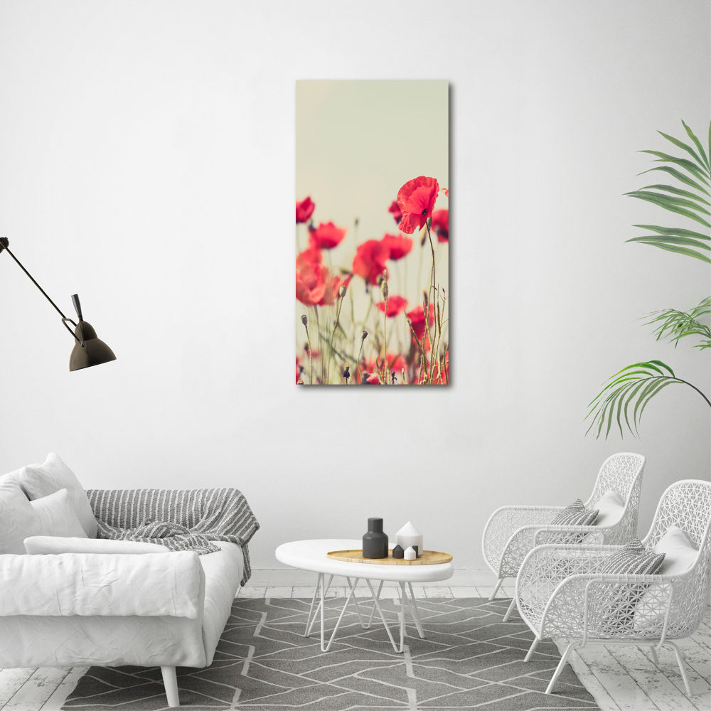 Tableau sur verre Coquelicots rouges