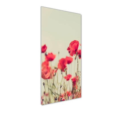 Tableau sur verre Coquelicots rouges