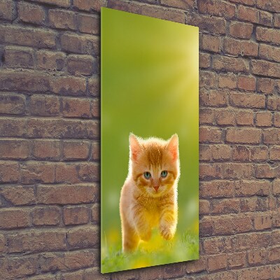 Tableau en verre Chat rouge