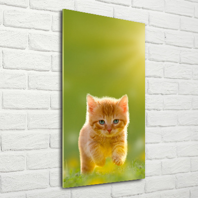 Tableau en verre Chat rouge