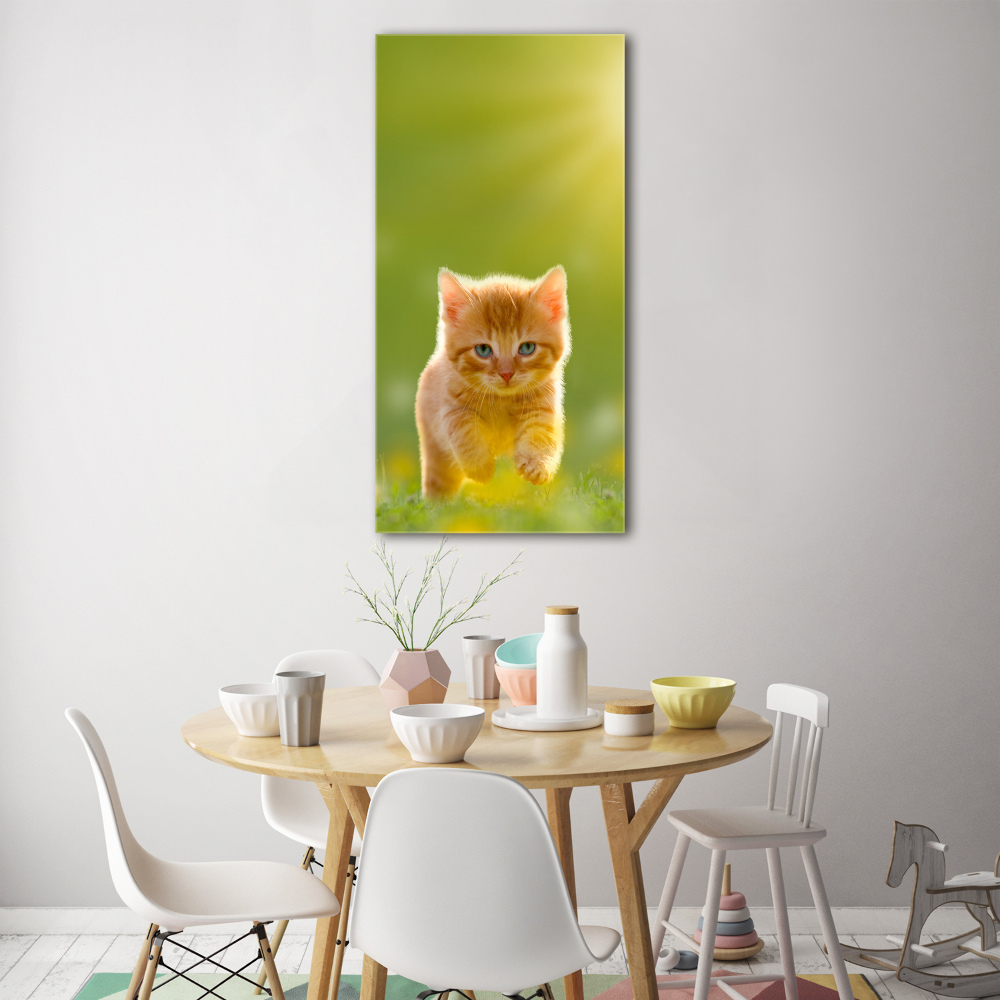 Tableau en verre Chat rouge