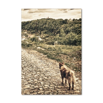 Tableau en verre Deux chiens de montagne