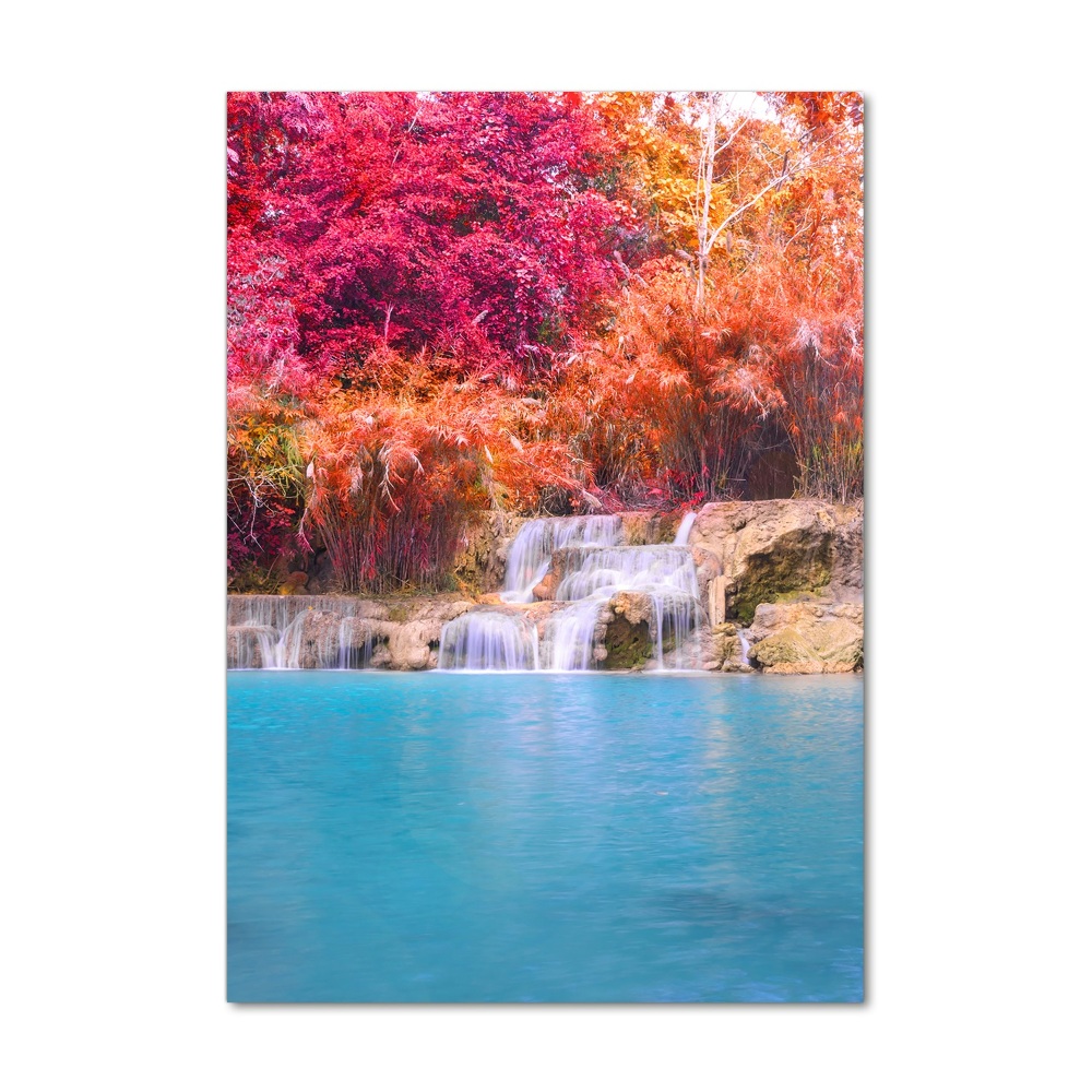 Tableau en verre Chute d'eau dans la forêt