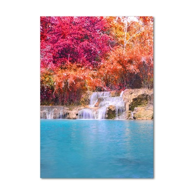 Tableau en verre Chute d'eau dans la forêt