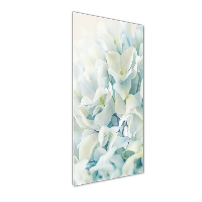 Tableau imprimé sur verre Fleur d'hortensia