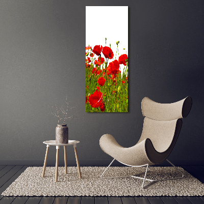 Tableau photo sur verre Champ de coquelicots