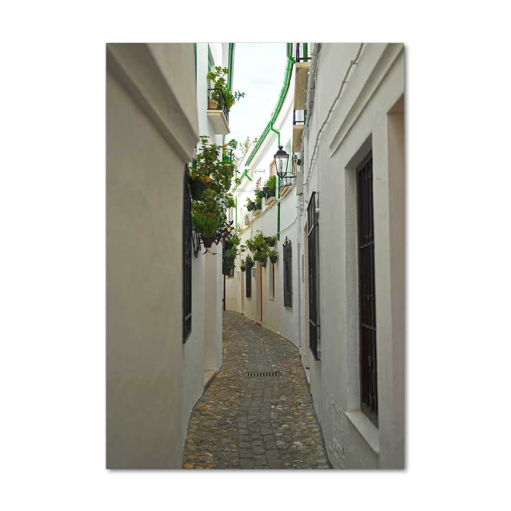 Tableau imprimé sur verre Rues d'Andalousie