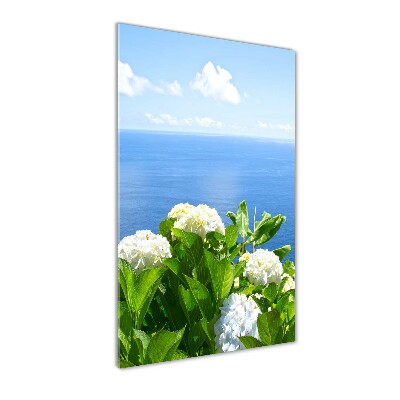 Tableau en verre Hortensia de mer