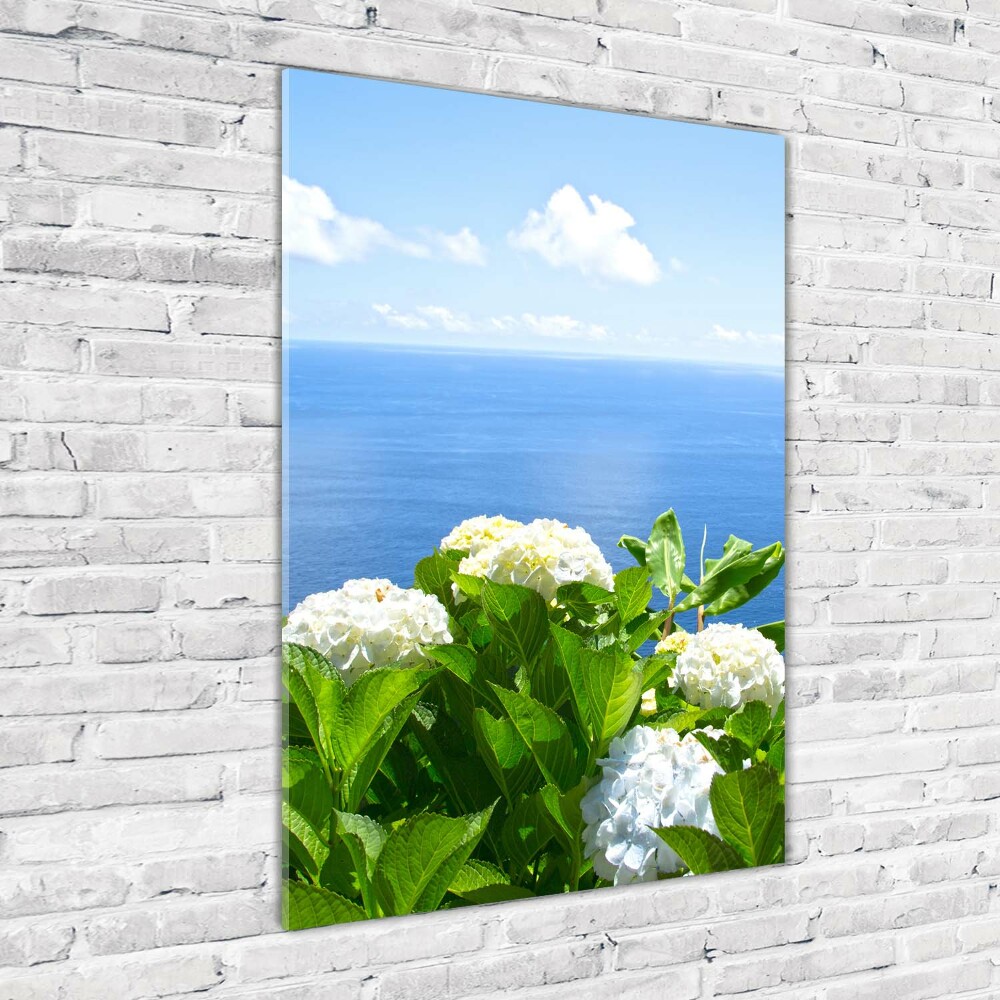 Tableau en verre Hortensia de mer