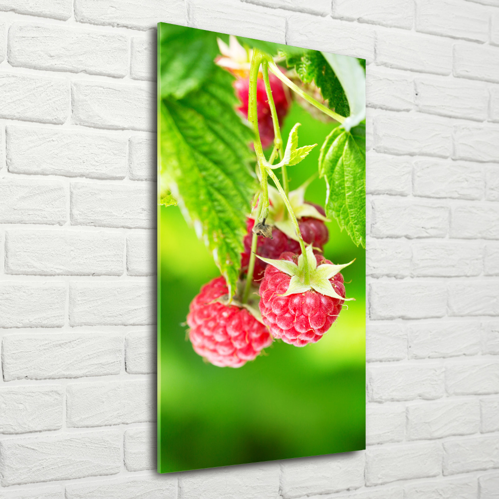 Tableau imprimé sur verre Framboises sur le buisson